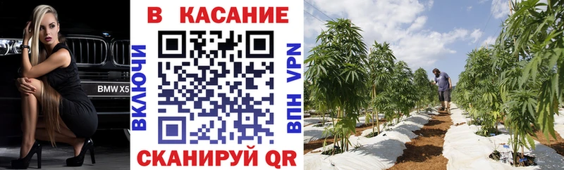 Наркошоп купить COCAIN СК ГАШИШ Меф Моздок