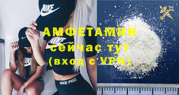 шишки Лабытнанги