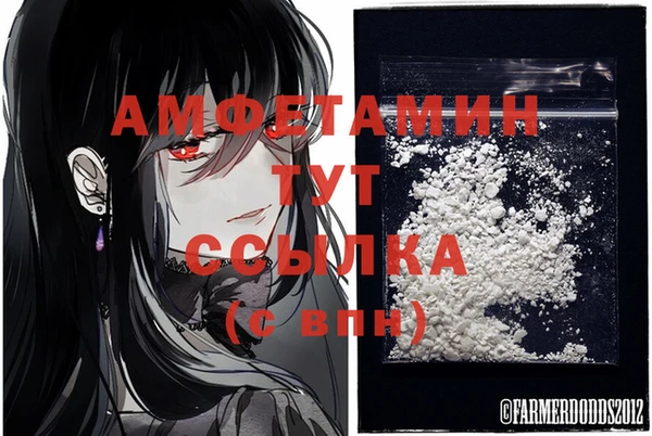 шишки Лабытнанги