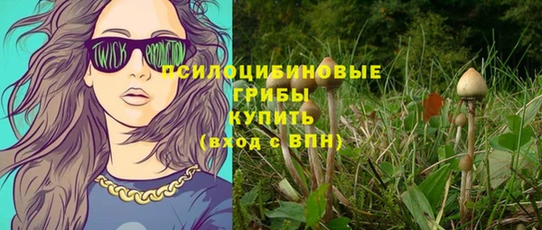 шишки Лабытнанги
