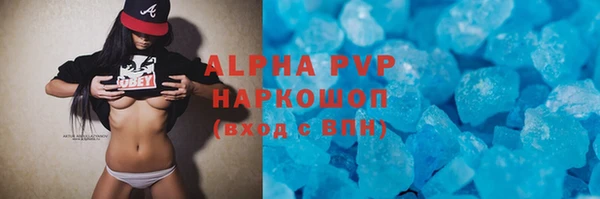 шишки Лабытнанги