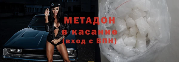 шишки Лабытнанги
