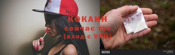 сатива Ладушкин