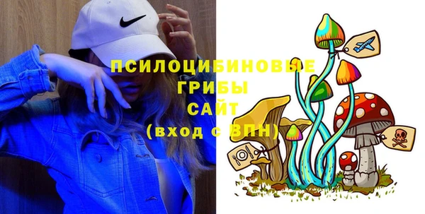 шишки Лабытнанги