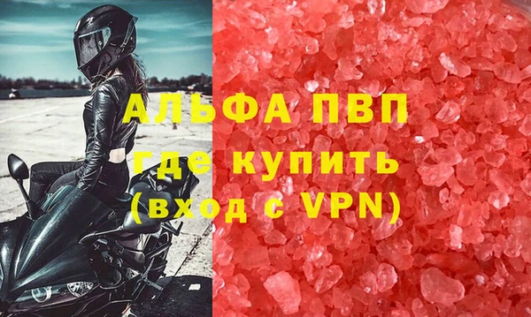 шишки Лабытнанги