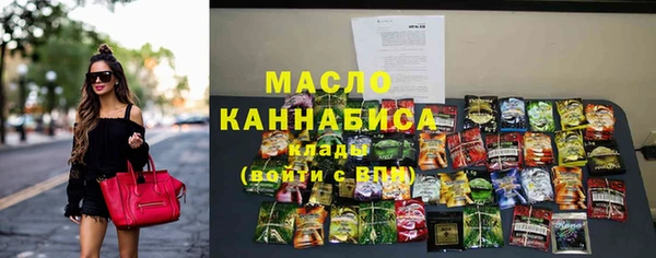 шишки Лабытнанги