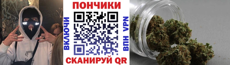 Бошки марихуана марихуана  Купить закладки  Моздок 